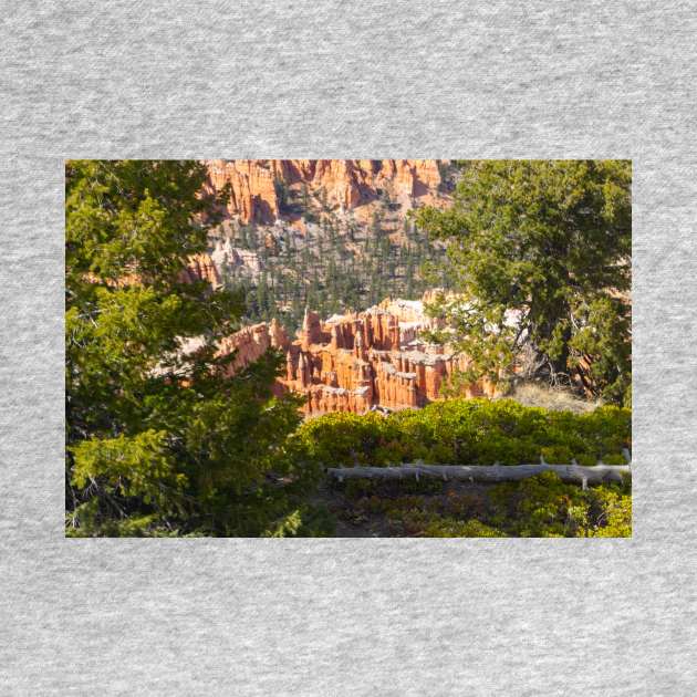 Bryce Canyon View 2 by Rob Johnson Photography